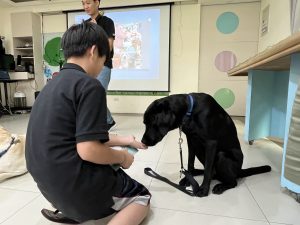 認識導盲犬