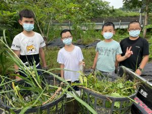 暑期農村野營5日行